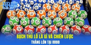 Bạch Thủ Lô Là Gì Và Chiến Lược Thắng Lớn Tại RR88