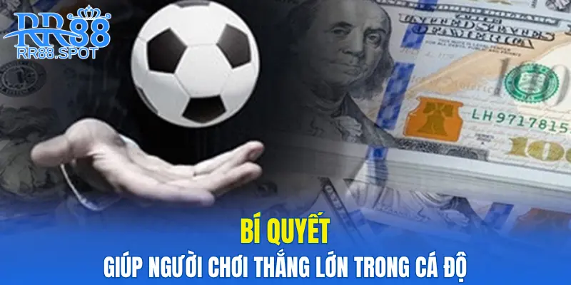 Bí quyết giúp người chơi thắng lớn trong cá độ