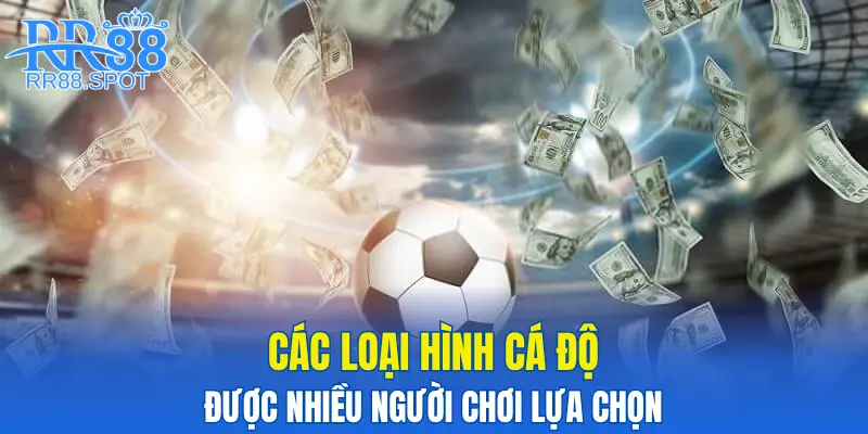 Các loại hình cá độ được nhiều người chơi lựa chọn