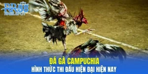 Đá Gà Campuchia - Hình Thức Thi Đấu Uy Tín Hiện Nay