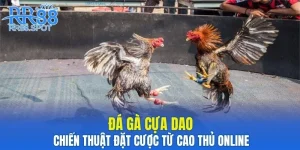 Đá Gà Cựa Dao - Mẹo Đặt Cược Uy Tín Từ Cao Thủ Online