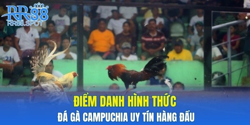 Điểm danh hình thức đá gà campuchia uy tín hàng đầu