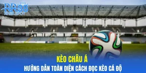 Kèo Châu Á - Hướng Dẫn Toàn Diện Cách Đọc Kèo Cá Độ