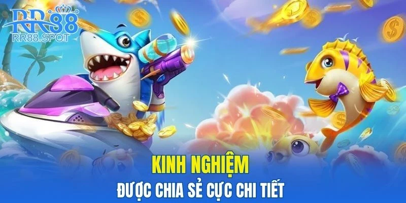 Khôn ngoan trong lựa chọn chiến lược, mục tiêu