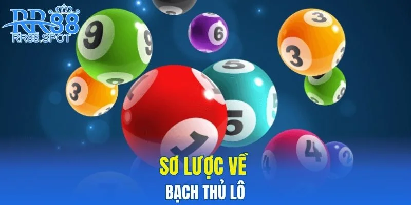 Sơ lược về bạch thủ lô