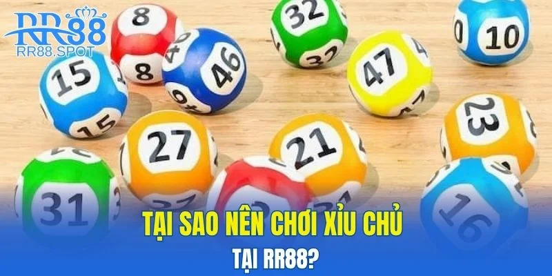 Tại sao nên chơi xỉu chủ tại RR88?